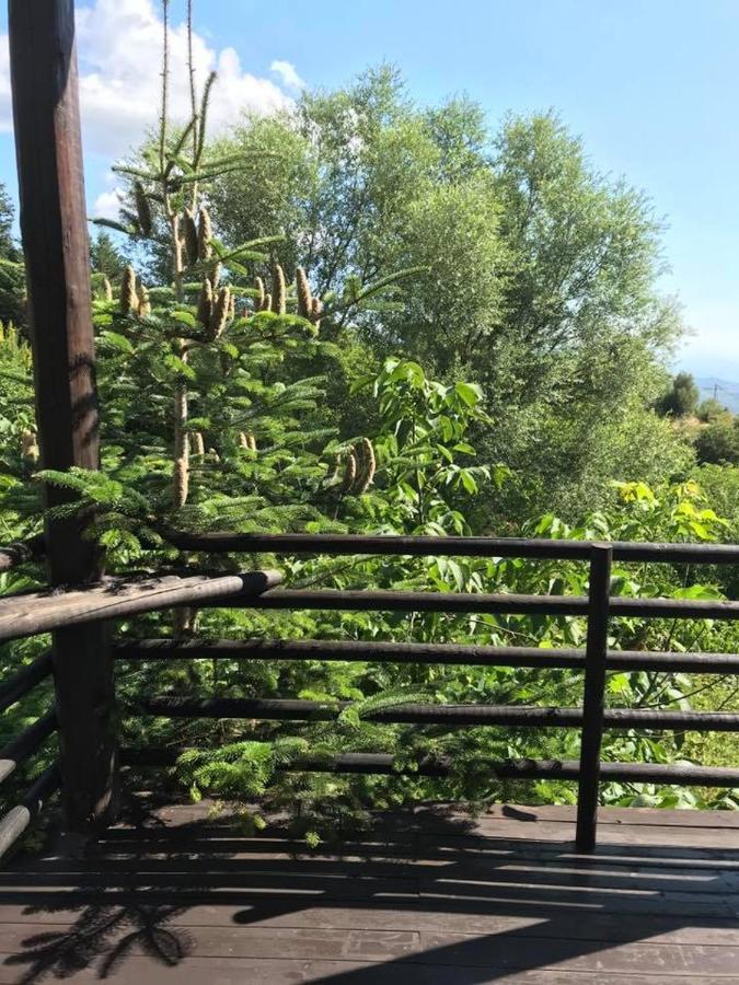Vathyskia Guesthouse Kato Sinikia Trikalon ภายนอก รูปภาพ